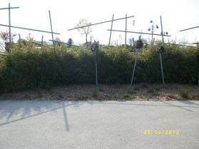 PENTAX DIGITAL CAMERA